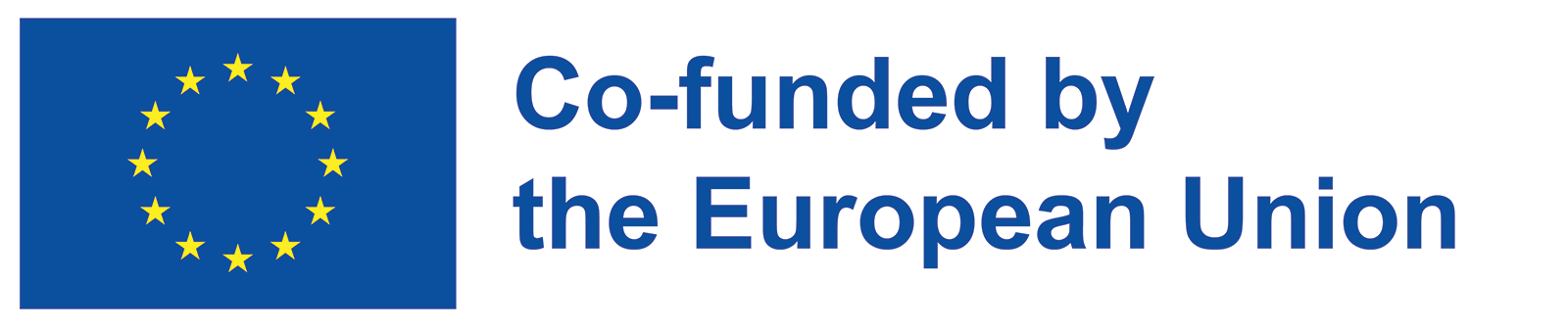 European Union flag and text "Co-funded by the European Union".